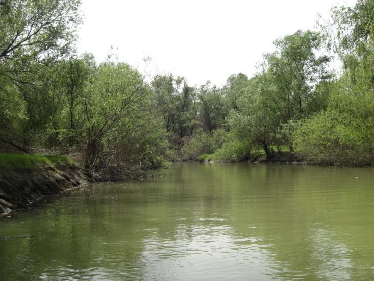 Стара Некрасівка з panoramio.com - Стара Некрасівка