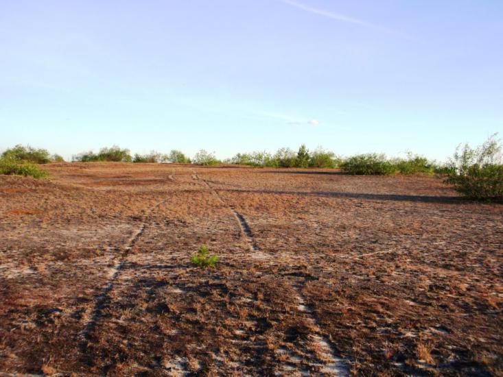 Неданчичі з panoramio.com - Nedanchychi