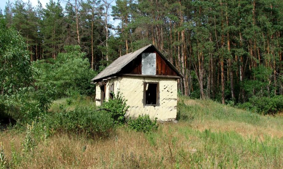 Скрипаї з panoramio.com - Скрипаї