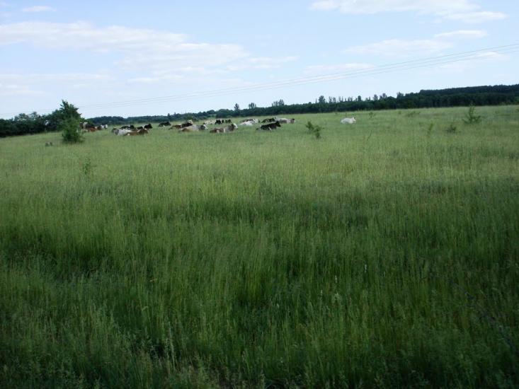Пришивальня з panoramio.com - Пришивальня