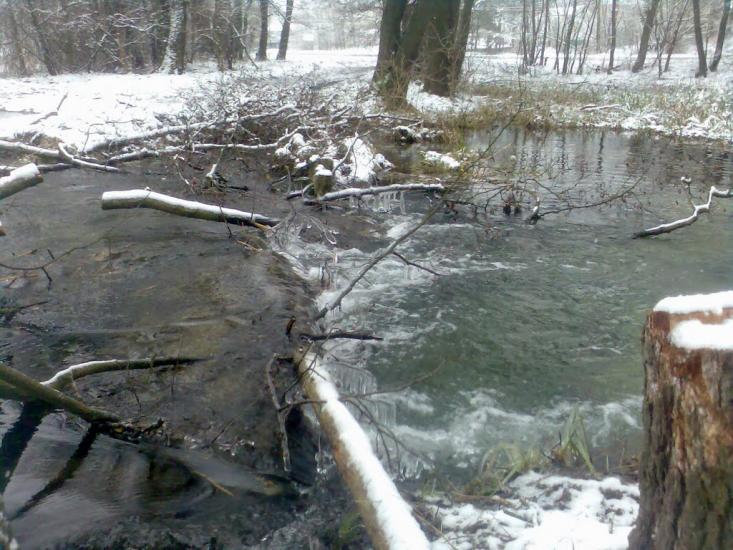 Радивилів з panoramio.com - Радивилов