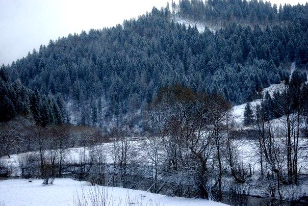 Річка з panoramio.com - Річка