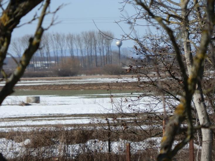 Малі Селменці з panoramio.com - Малые Селлменцы