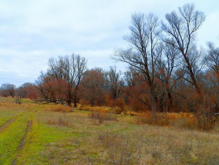 Булавинське з panoramio.com - Bulavynske