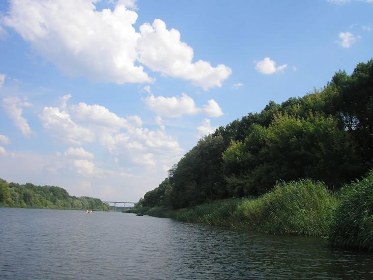 Куріпчине з panoramio.com - Kuripchyne