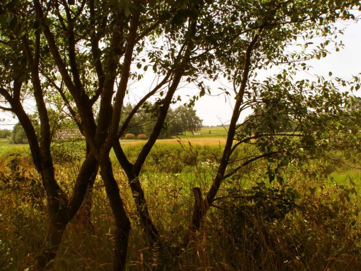 Залізниця з panoramio.com - Залізниця