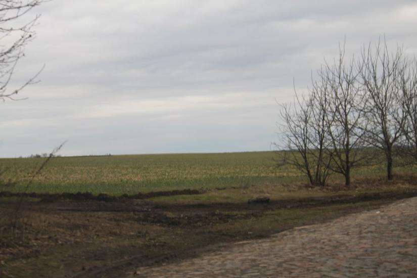 Устя з panoramio.com - Устя