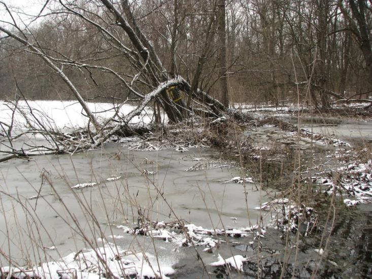 Підлісне з panoramio.com - Pidlisne