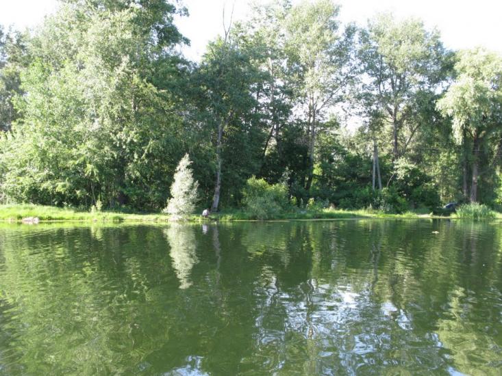 Ворзель з panoramio.com - Ворзель