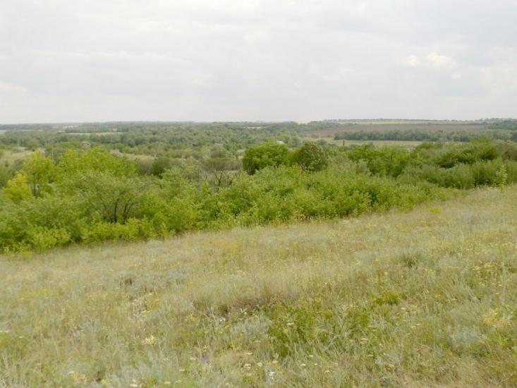 Красний Партизан з panoramio.com - Красний Партизан