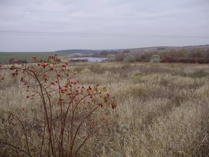 Підлісне з panoramio.com - Pidlisne