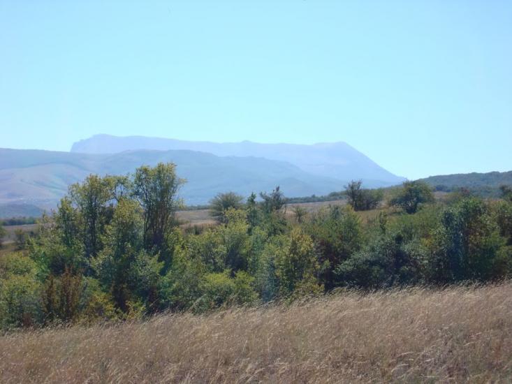 Піонерське з panoramio.com - Пионерское