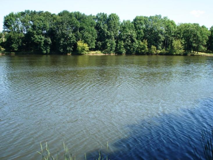 Ковалівка з panoramio.com - Ковалівка
