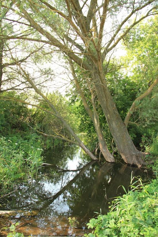Деркачівка з panoramio.com - Деркачівка