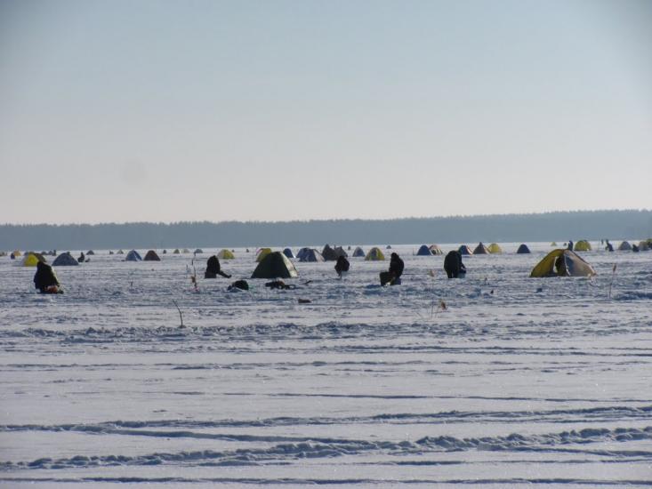 Хотімля з panoramio.com - Хотимля