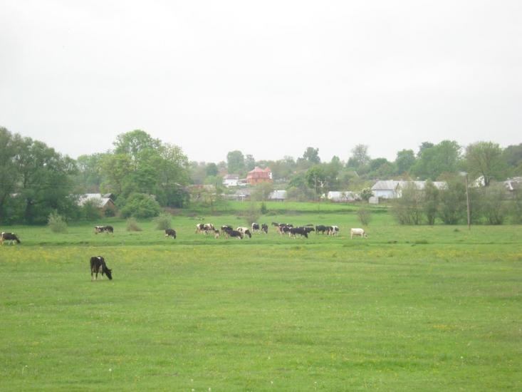 Дідилів з panoramio.com - Дідилів