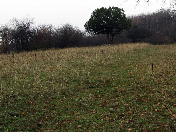 Колхозне з panoramio.com - Колхозное
