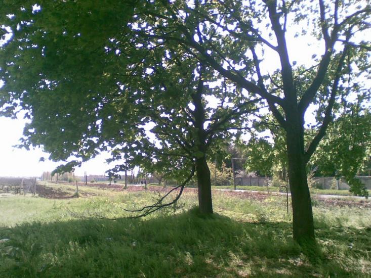 Великодолинське з panoramio.com - Великодолинське