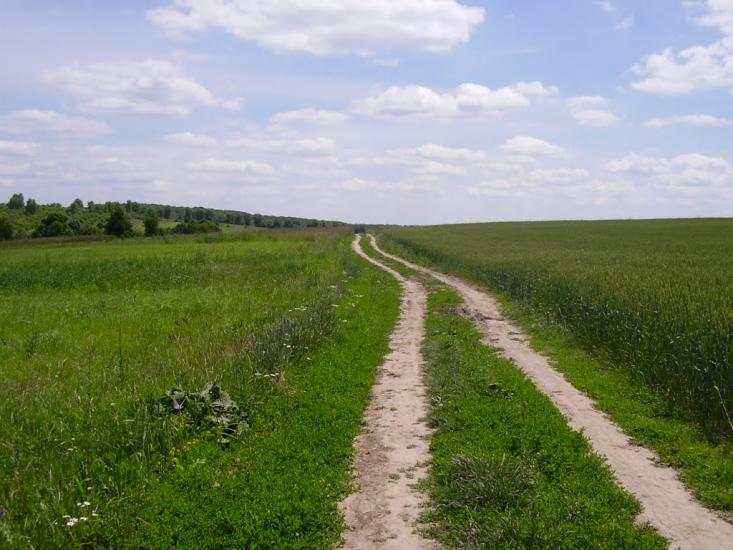 Коржівці з panoramio.com - Коржевцы