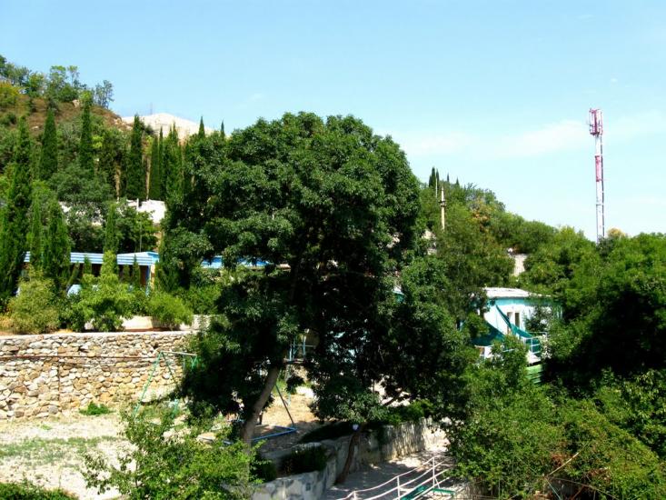 Малий Маяк з panoramio.com - Малий Маяк