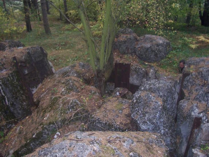 Гута-Межигірська з panoramio.com - Гута-Межигорская