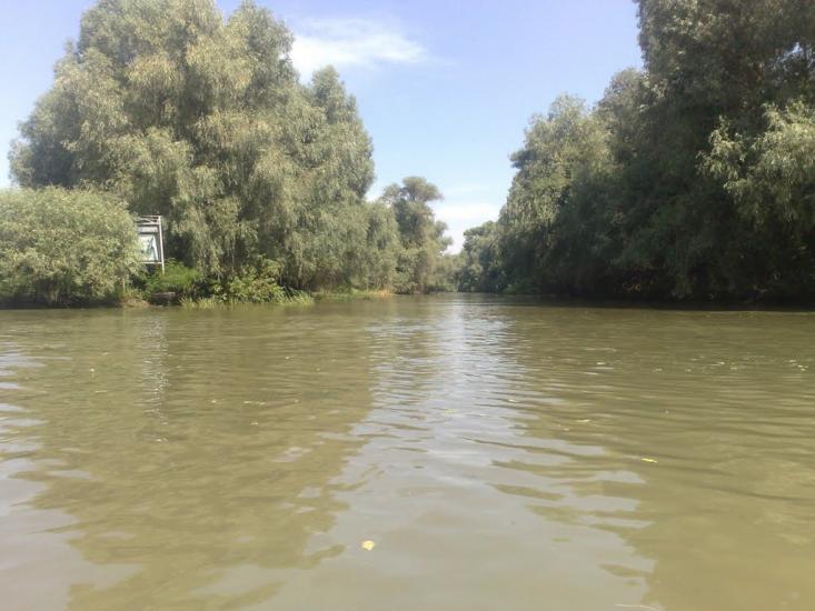 Дунайське з panoramio.com (ч.2) - Дунайське