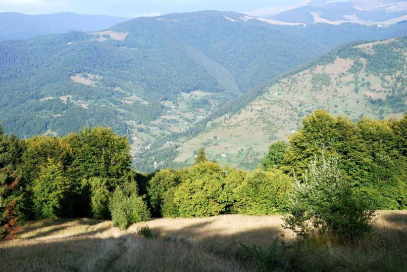 Кваси з panoramio.com - Квасы