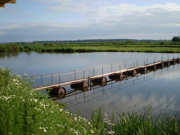 Отиневичі з panoramio.com - Otynevychi