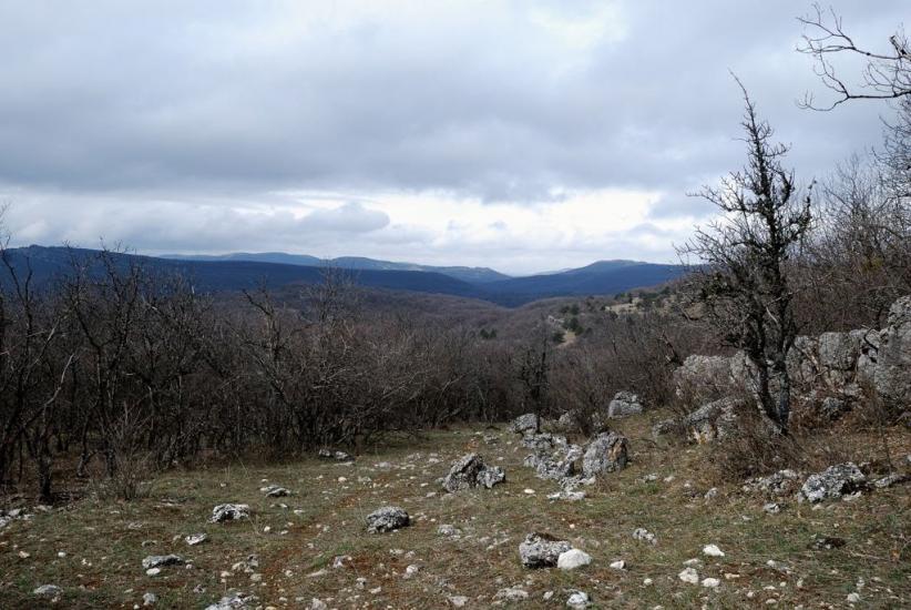 Колхозне з panoramio.com - Колхозное