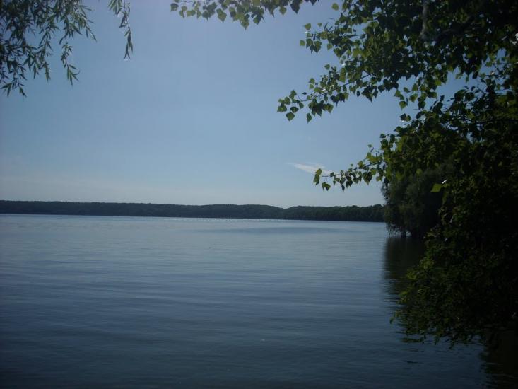 Липове з panoramio.com - Липовое