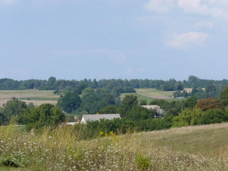 Острів з panoramio.com - Остров