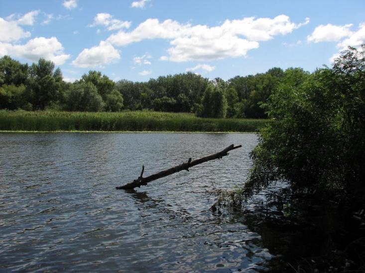Потоки з panoramio.com - Потоки