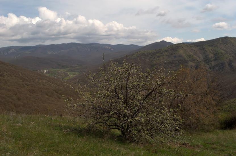 Лісне з panoramio.com - Лесное