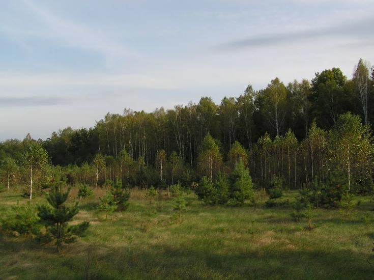 Струмок з panoramio.com - Струмок