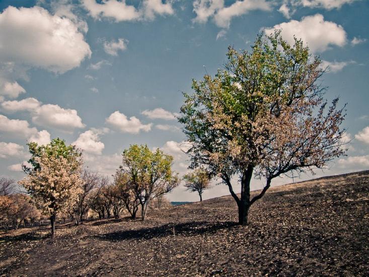 Кіровськ з panoramio.com - Кировск