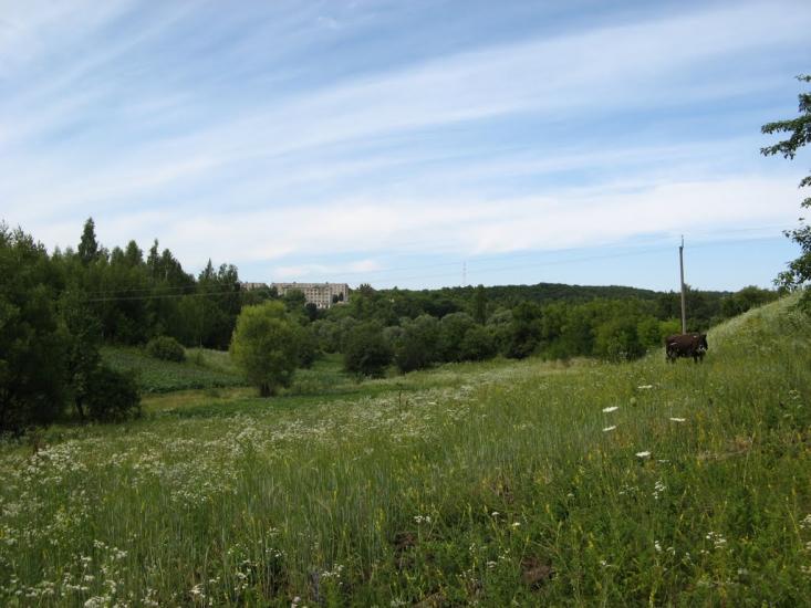 Малий Вистороп з panoramio.com - Малый Выстороп