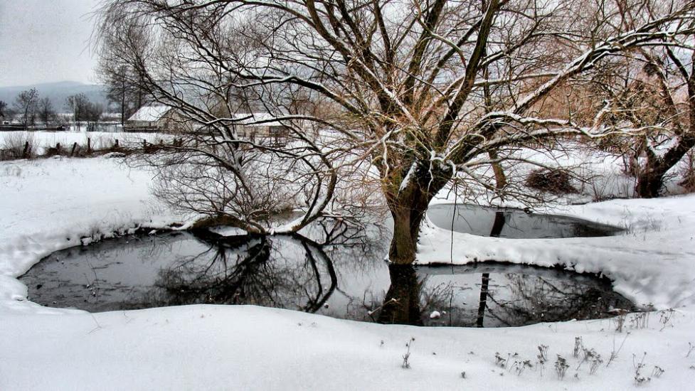 Черемошня з panoramio.com - Черемошня