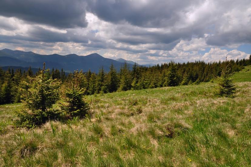 Кривопілля з panoramio.com - Кривопілля