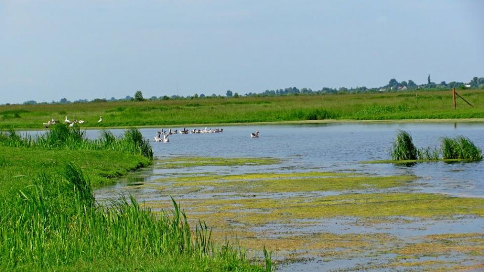 Ремчиці з panoramio.com - Ремчиці