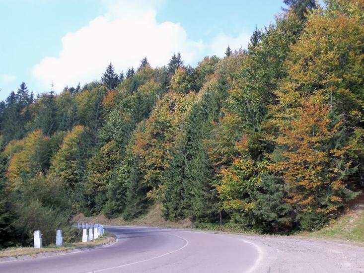 Вишків з panoramio.com - Вышков