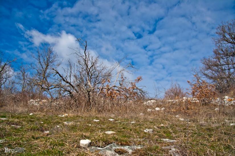 Тургенєвка з panoramio.com - Тургенєвка