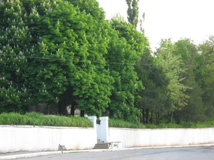Шершенці з panoramio.com - Shershentsi