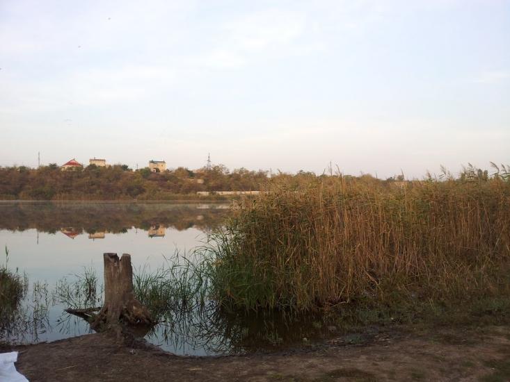 Прилиманське з panoramio.com - Прилиманське