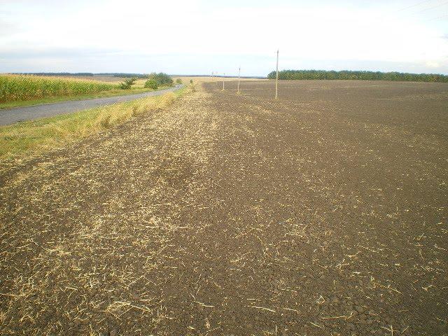 Хрещате з panoramio.com - Хрещатое