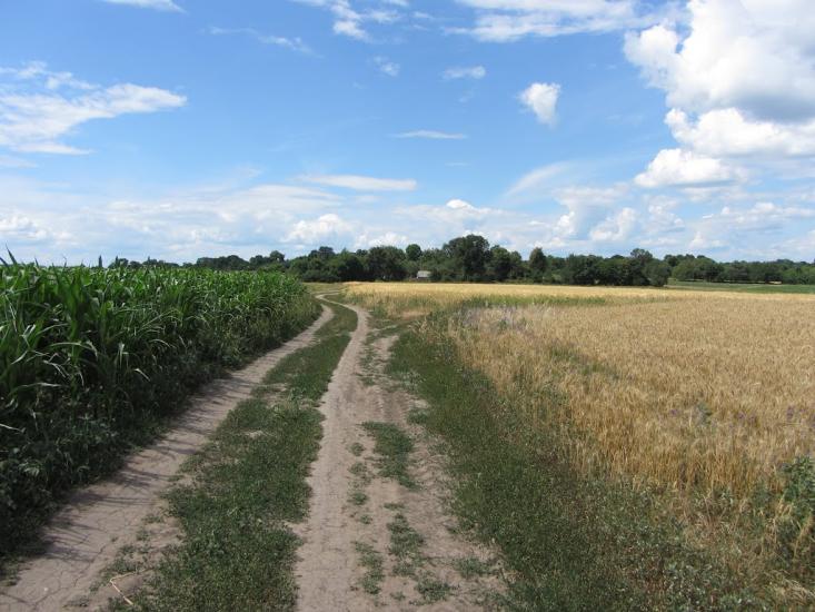 Попівка з panoramio.com - Попівка