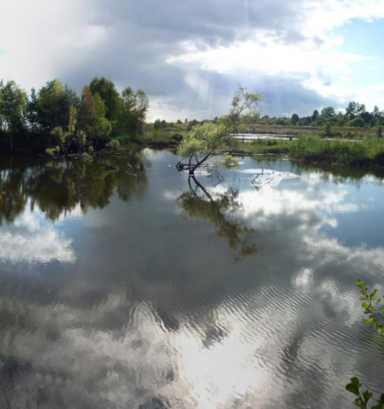 Новий Яр з panoramio.com - Новий Яр