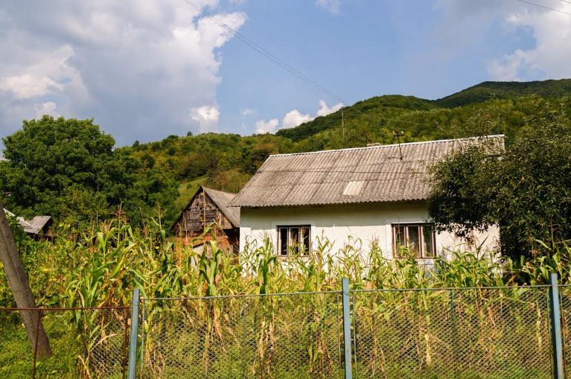 Костринська Розтока з panoramio.com - Костринська Розтока