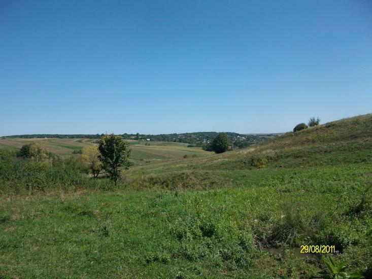 Тарасівці з panoramio.com - Тарасовцы