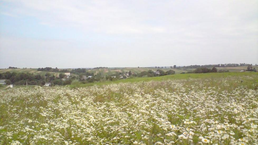 Стрілковичі з panoramio.com - Стрілковичі