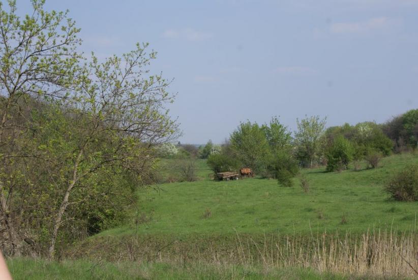 Христофорівка з panoramio.com - Христофоровка
